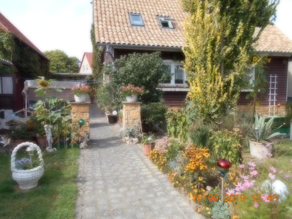 Vermiete Sehr Schoenes Apartment In Dankerode Im Harz Εξωτερικό φωτογραφία