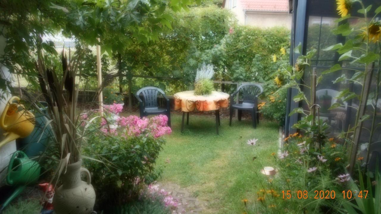Vermiete Sehr Schoenes Apartment In Dankerode Im Harz Εξωτερικό φωτογραφία