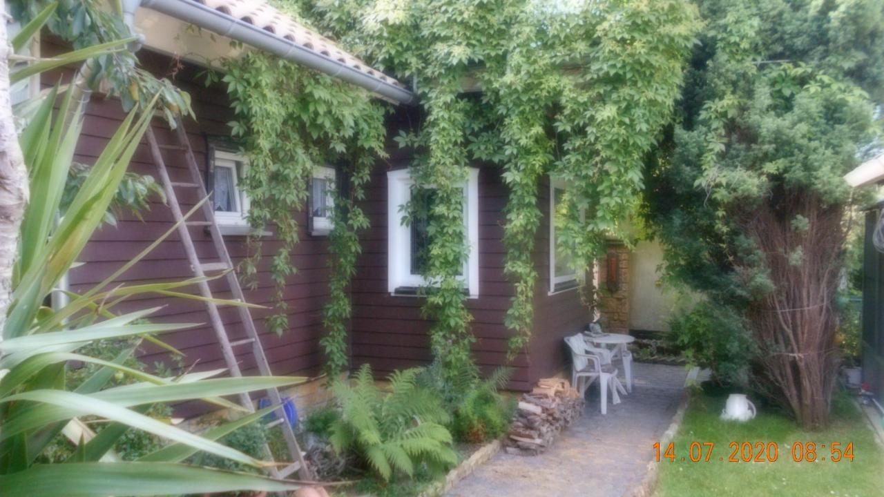 Vermiete Sehr Schoenes Apartment In Dankerode Im Harz Εξωτερικό φωτογραφία