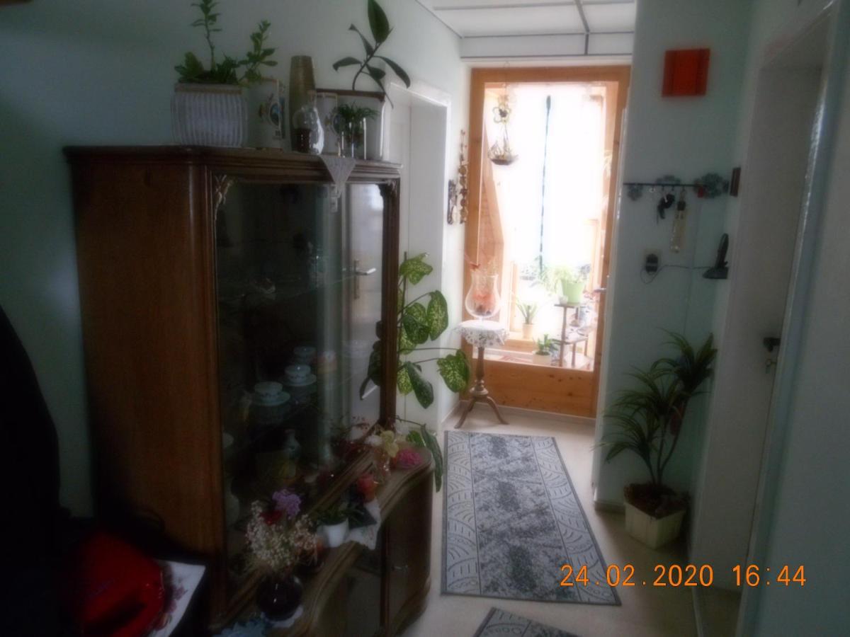 Vermiete Sehr Schoenes Apartment In Dankerode Im Harz Εξωτερικό φωτογραφία